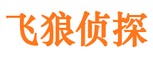 瀍河市婚外情取证